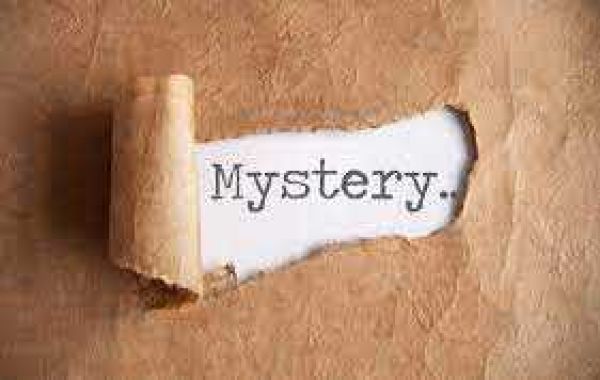 mystery investigators