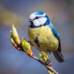 Aurora7777 Profile Picture