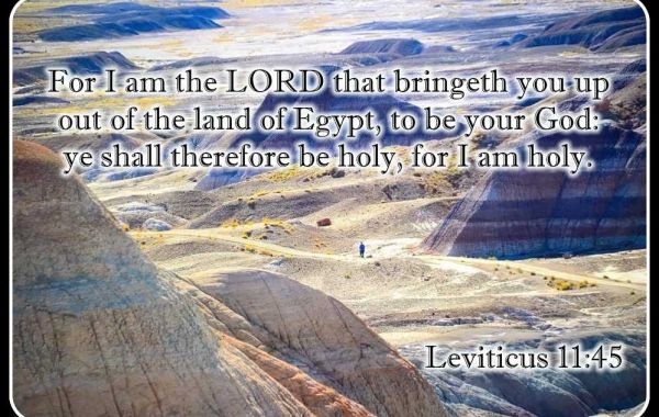God’s Dedication Bottomline - Leviticus 11:44-47