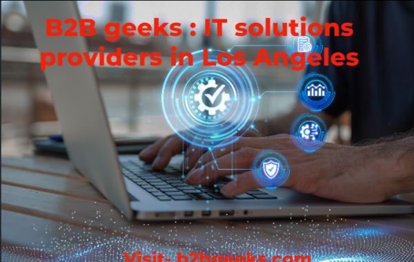 Professional IT Support Services in Los Angeles | B2B Geeks