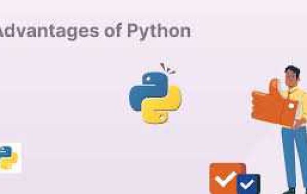 The Python Advantage: Bolstering Web Application Security