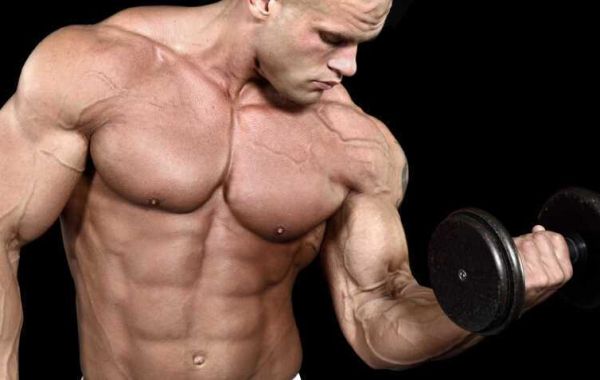 Sustanon 125 Mg - Sustanon 250: The Complete Guide for Users - Steroid Cycles