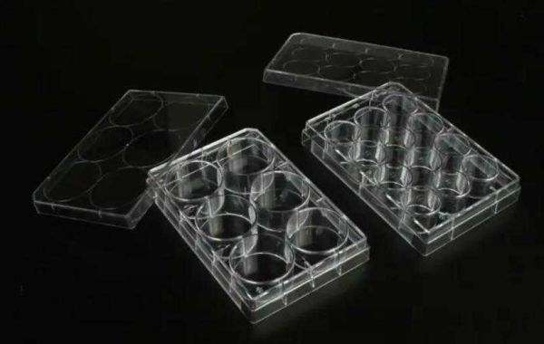 What Factors Should I Consider When Choosing a Cell Culture Plate?