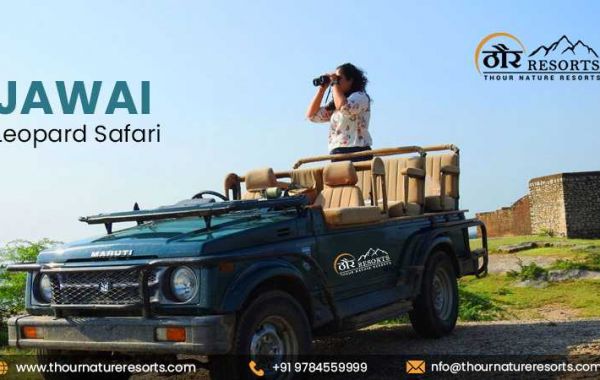 Incredible Experience in Jawai Leopard Hill, Rajasthan