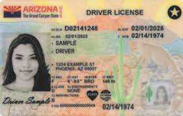 The Arizona Driver License Template: A Versatile Tool for Various Applications