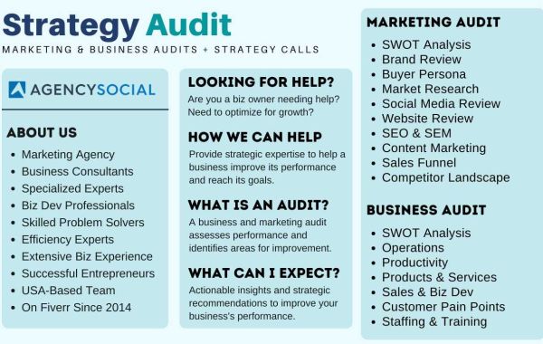 I will perform a marketing and business audit