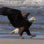 Beth Storms profile picture