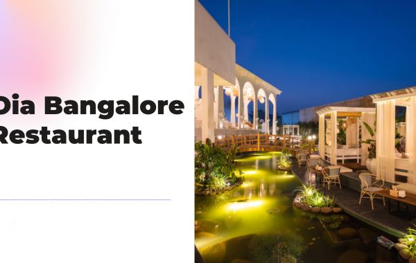 Explore Oia Bangalore Restaurant-Asia’s Largest Pub