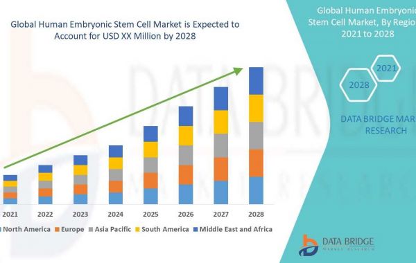 Human Embryonic Stem Cell Market Trends, Drivers, and Forecast by 2028