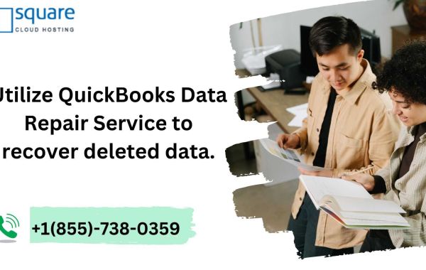 A Quick Guide on QuickBooks Data Repair Service