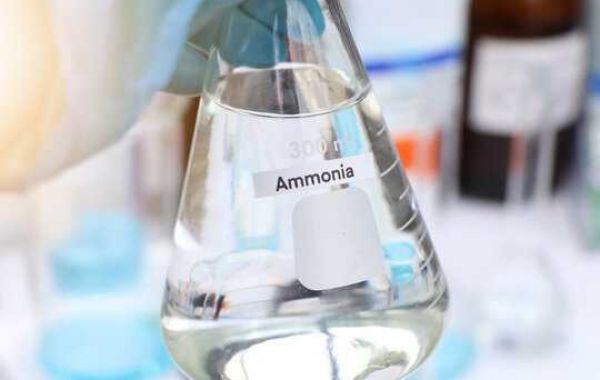 Capital Costs Involved in Setting Up a Ammonia Manufacturing Plant