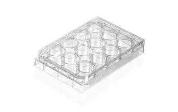 Why Do I Need a Cell Culture Plates?