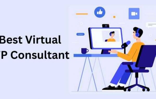 Go-To Guide for Choosing a Virtual WordPress Consultant for Your Site