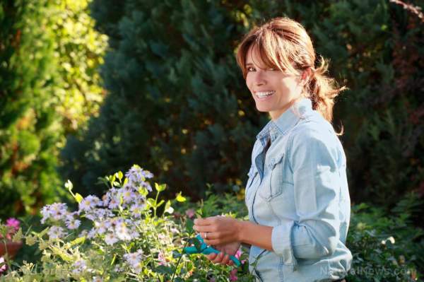 Prioritizing your goals: 3 Steps for a successful garden   – NaturalNews.com