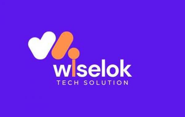 SEO Services in Jaipur - Wiselok Tech Solution