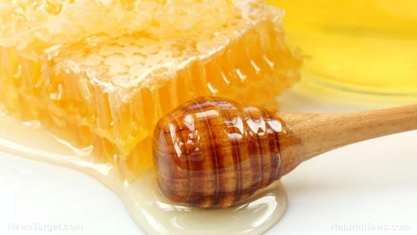 Honey: An amazing superfood with many health benefits