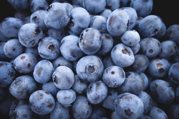 The mighty BLUEBERRY, a superfruit with anticancer properties   – NaturalNews.com