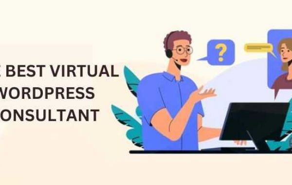 The Definitive Path to Your Ideal Virtual WP Consultant for Navigating Success