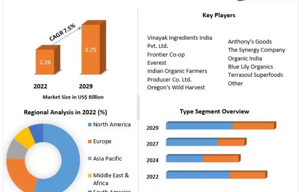 Ginger Powder Market Overview 2023-2029: Industry Landscape and Growth Strategies