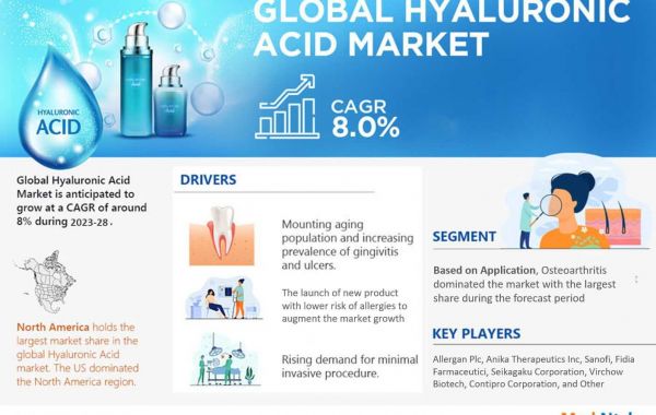 Hyaluronic Acid Market Analysis and Forecast, 2023-2028