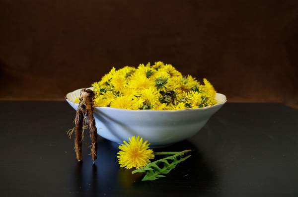 Delicious Dandelions: Recipes and Ways to Enjoy This Nutritious Weed - Pioneerthinking.com