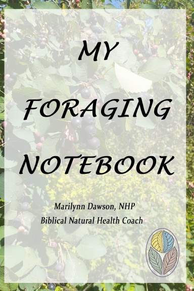 My Foraging Notebook
