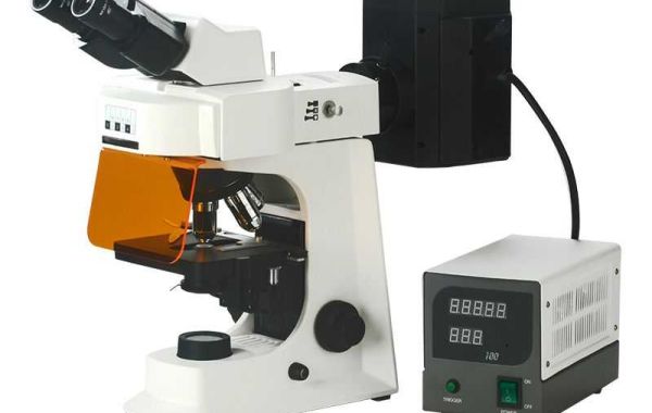 Why Do We Need to Know How Do I Prepare Samples for Fluorescence Microscope?