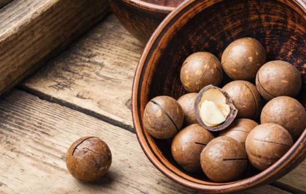 Australia's Macadamia Marvel: Unpacking the Nut's Health Benefits, Culinary Prowess, and Rising Demand
