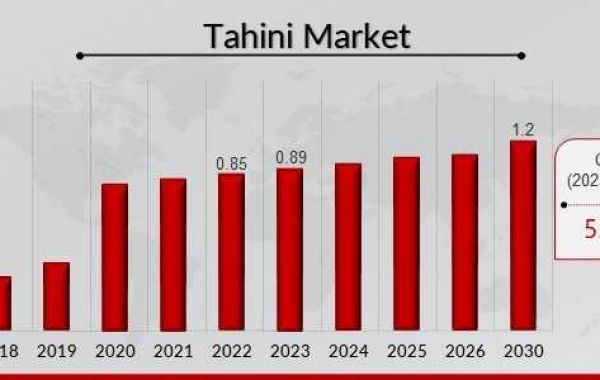 United States Tahini Market Growth| Industry Share, Demand, and Future Forecast Report