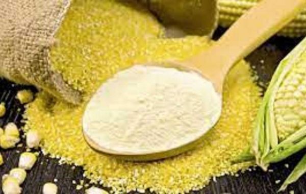 Europe Quinoa Flour Market Insights in Germany with latest Trends 2032