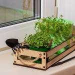 Vego Garden Profile Picture