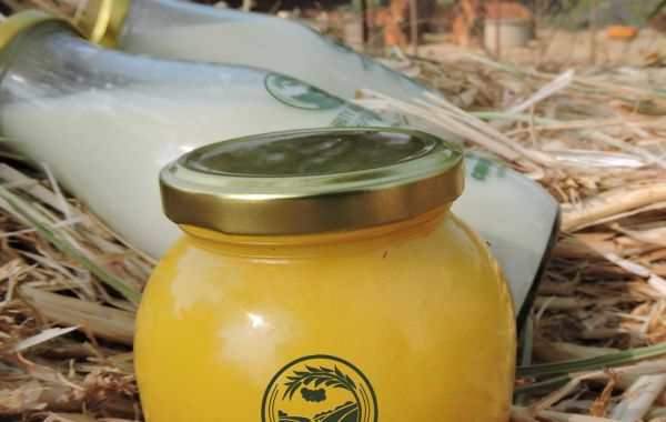 Why Pure Desi Cow Ghee is a Staple in Indian Cuisine: Culinary Uses and Benefits