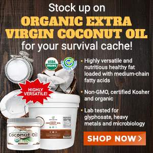 Here's why Organic Extra Virgin Coconut Oil definitely deserves a place in your survival cache