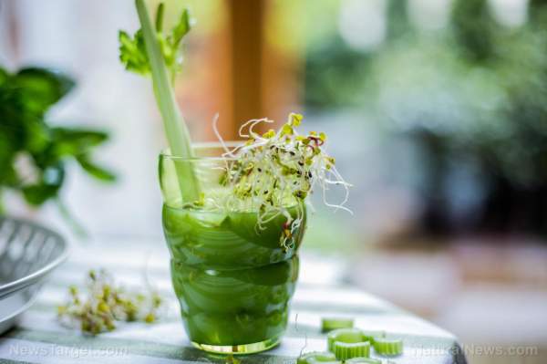 Celery: A heart-healthy vegetable with cancer-fighting properties   – NaturalNews.com