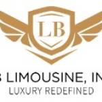 LB Limo profile picture