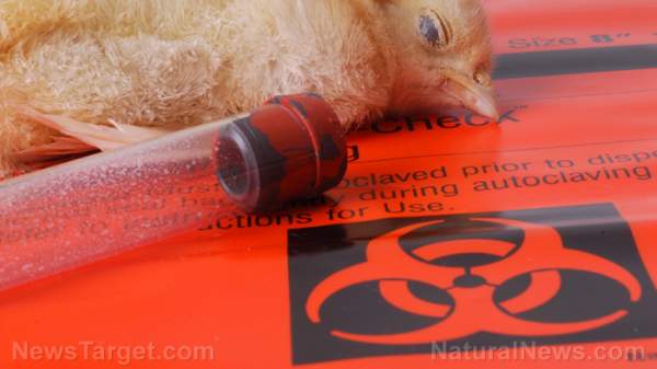 COINCIDENCE? Health officials warn about bird flu outbreak just in time for the vote on WHO’s pandemic treaty