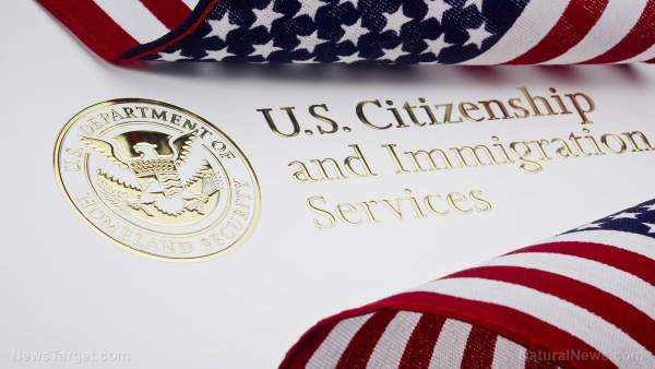 Biden’s ICE to roll out pilot program giving illegal immigrants VALID IDs   – NaturalNews.com