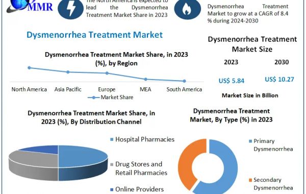 Dysmenorrhea Treatment Market Executive Summary, Segmentation, Review, Trends, Opportunities, Growth, Demand and Forecas