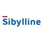Sibylline Trading  Contracting Profile Picture