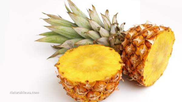 Pineapple found to be five times more effective than cough syrup - NaturalNews.com