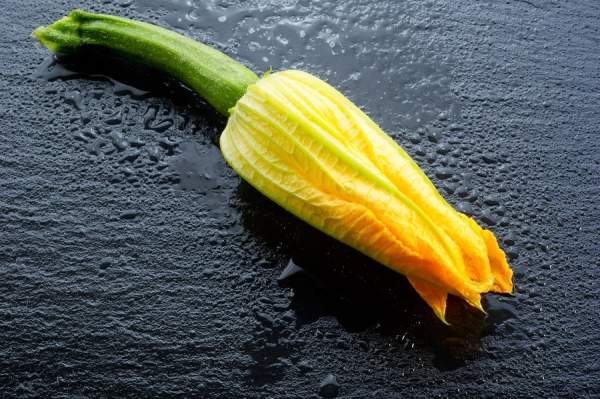 How to Cook and Serve Squash Blossoms -- Harvest to Table