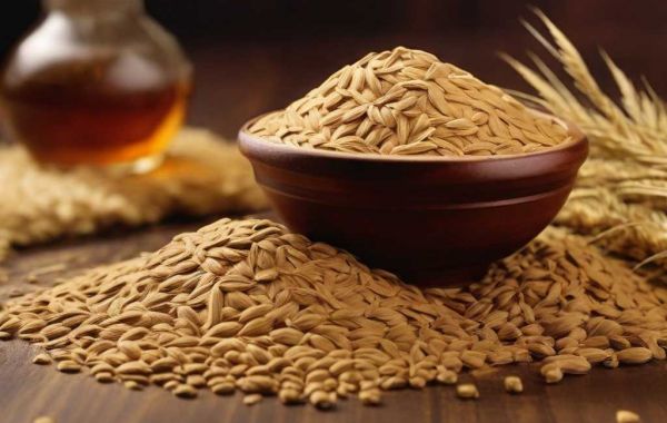 Malt Extract Manufacturing Plant Project Report 2024: Setup Details, Capital Investments and Expenses