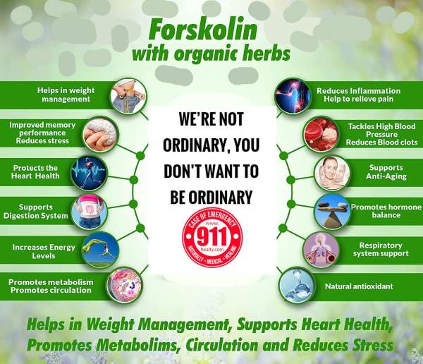 100% Natural Superfood Organic Forskolin Coleus Forskohlii Powder – Free Shipping - 911healty