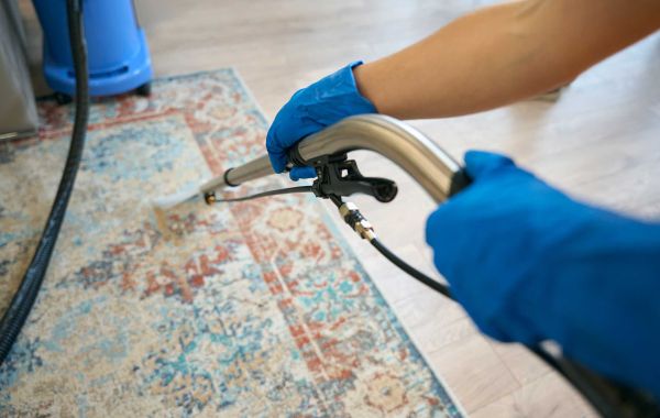 Trust Rug Cleaning to the Professionals in the Bronx