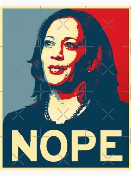 PERHAPS DEMOCRATS WOULD BE BETTER OFF IF THEY SIMPLY ATTENDED TO THEIR OWN AFFAIRS… | a "Backwoods" Conservative