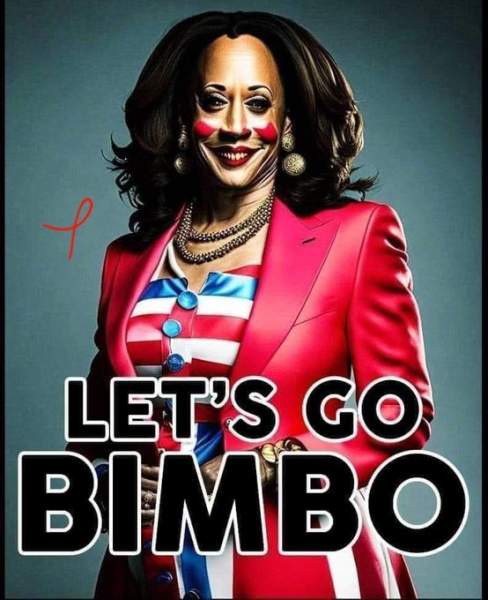 DEMOCRATS…WHEN ALL YOU CAN DO, IS ALL YOU CAN DO… | a "Backwoods" Conservative