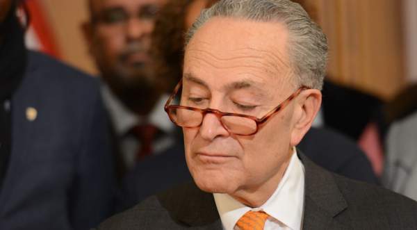 Chuck Schumer slammed his fist in rage after he got this bad news about Kamala Harris - Renewed Right
