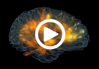 The Best Way to Reach The Brain You Deserve | by Sophiaman | Aug, 2024 | Medium