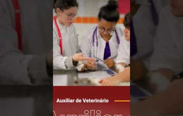 Ultrassonografia Veterinária: Uma Janela para a Saúde e Bem-Estar dos Nossos Animais