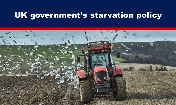 UK government’s starvation policy – The Expose
